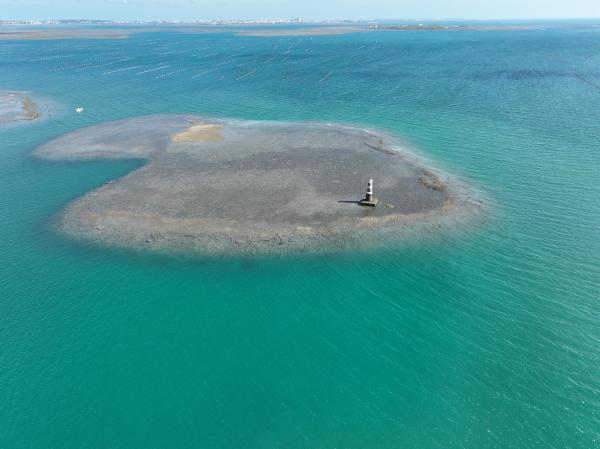 2025大滬尾洲記錄