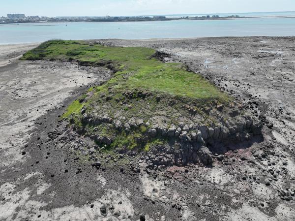 2025牛母件嶼記錄