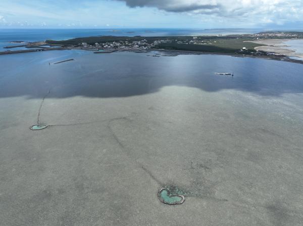 2025通梁石滬記錄