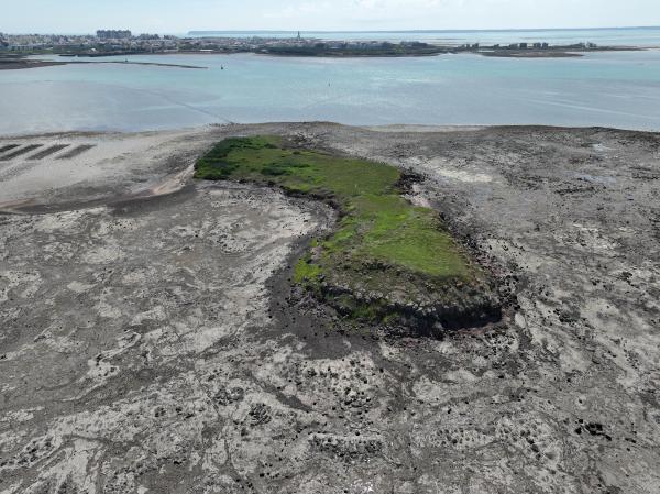 2025牛母件嶼記錄