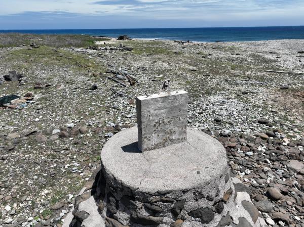 2025麒麟寶塔記錄