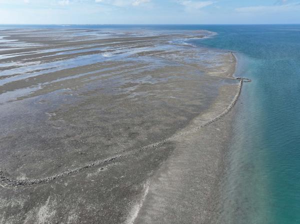 2025岐頭石滬記錄