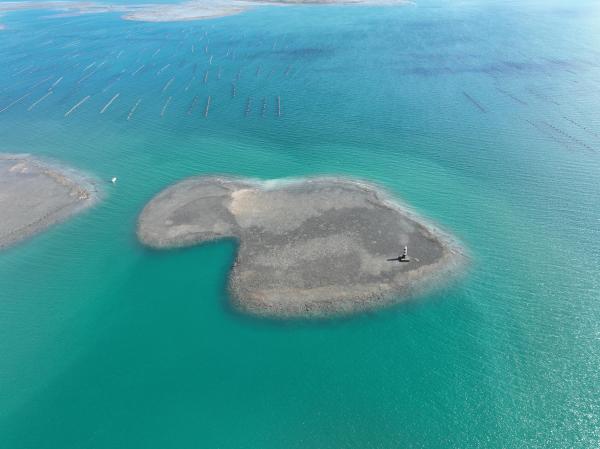 2025大滬尾洲記錄