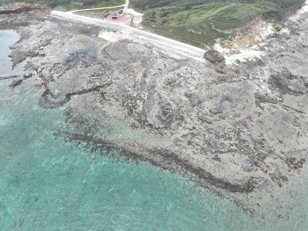 2025通梁石滬記錄