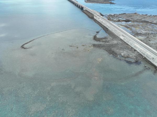 2025通梁石滬記錄