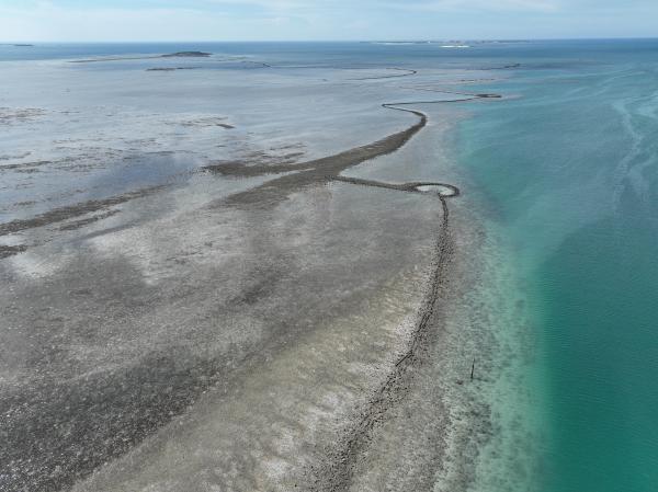 2025赤崁石滬記錄