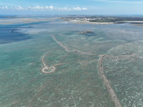 2025赤崁石滬記錄