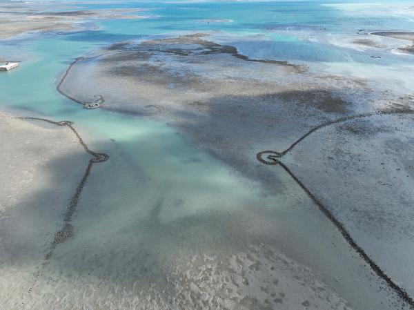 2025瓦硐石滬記錄