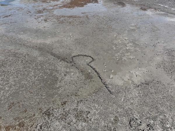 2025通梁石滬記錄