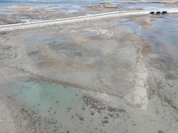 2025中屯石滬記錄