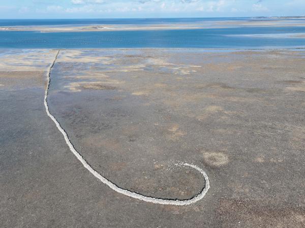 2025岐頭石滬記錄