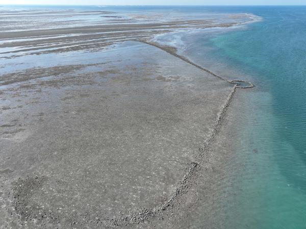 2025岐頭石滬記錄