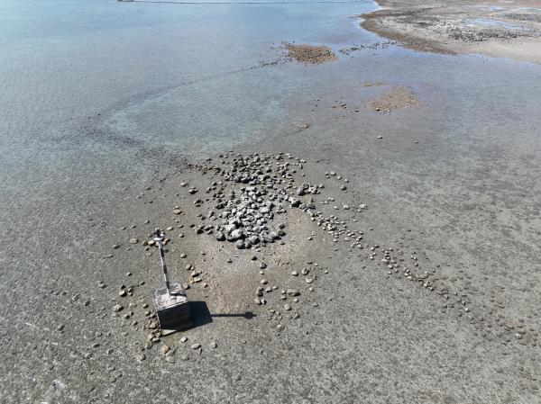 2025潭邊石滬記錄