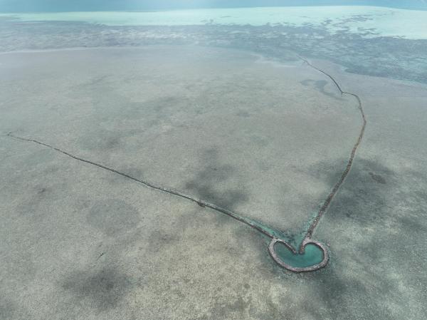 2025通梁石滬記錄