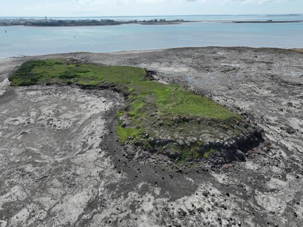 2025牛母件嶼記錄