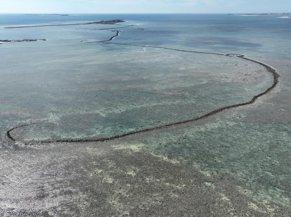 2025赤崁石滬記錄