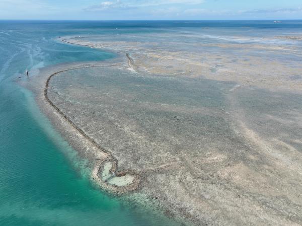 2025赤崁石滬記錄