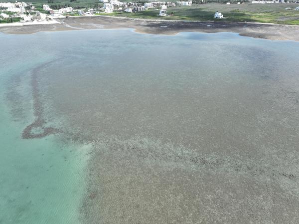 2025許家石滬記錄