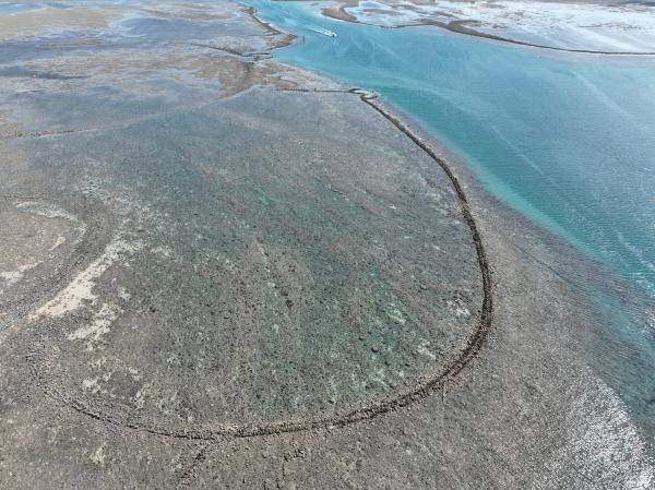 2025赤崁石滬記錄