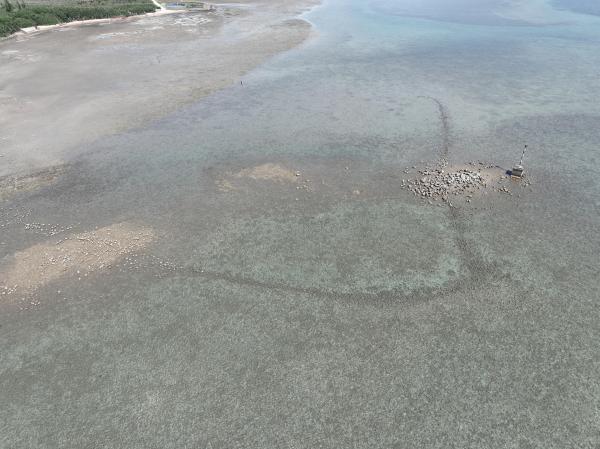 2025潭邊石滬記錄