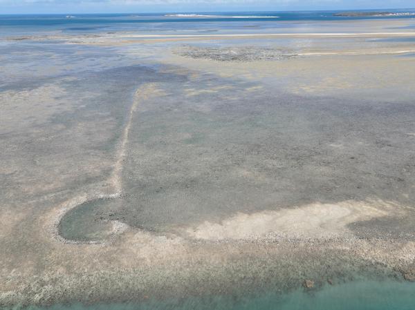 2025赤崁石滬記錄