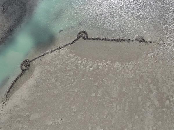 2025瓦硐石滬記錄