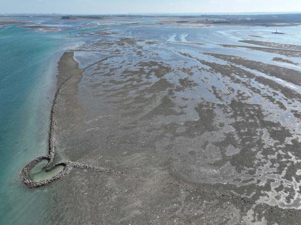 2025岐頭石滬記錄