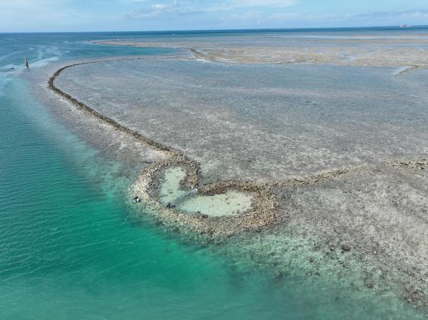 2025赤崁石滬記錄