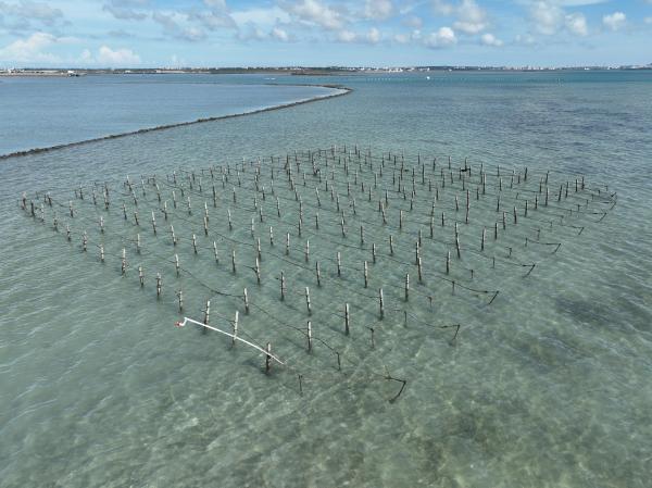 2025中屯石滬記錄