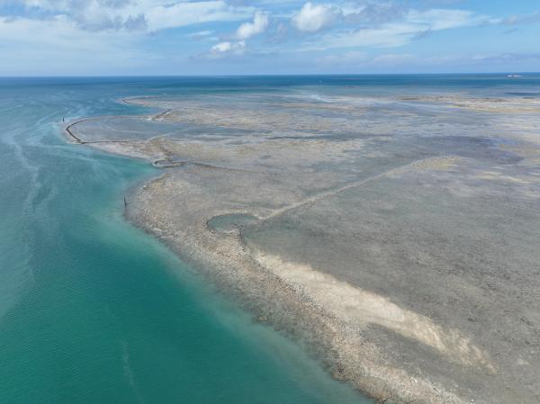 2025赤崁石滬記錄