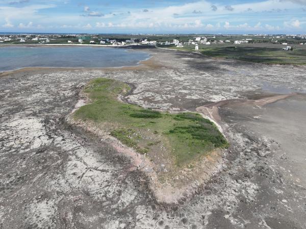 2025牛母件嶼記錄