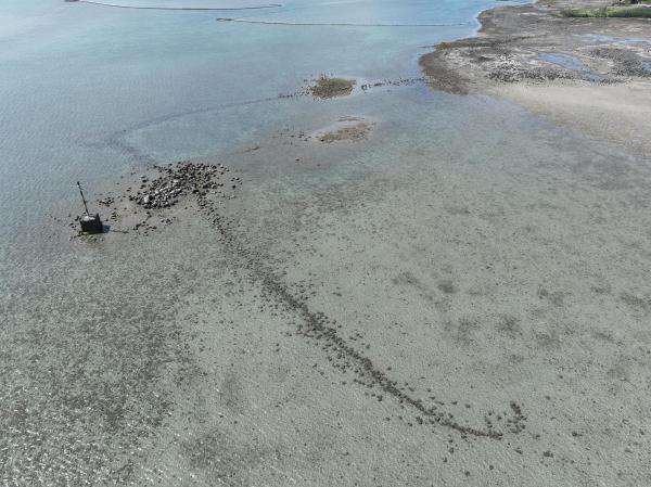 2025潭邊石滬記錄