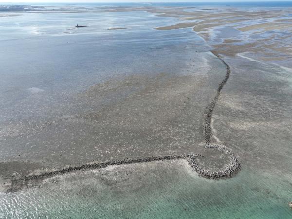 2025岐頭石滬記錄