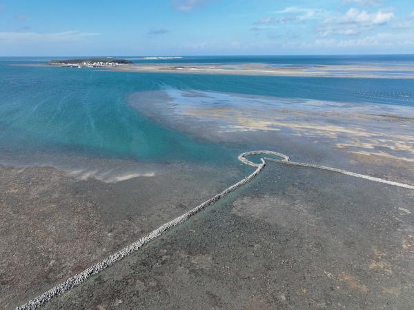 2025岐頭石滬記錄