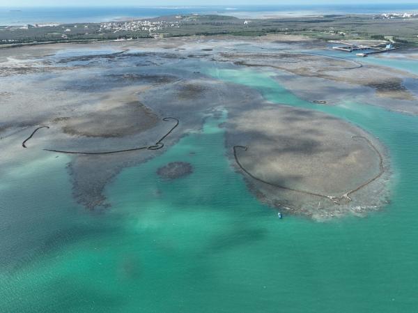 2025瓦硐石滬記錄