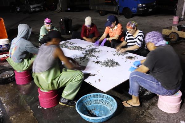 2025赤崁村丁香記錄