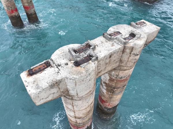 2025跨海大橋記錄