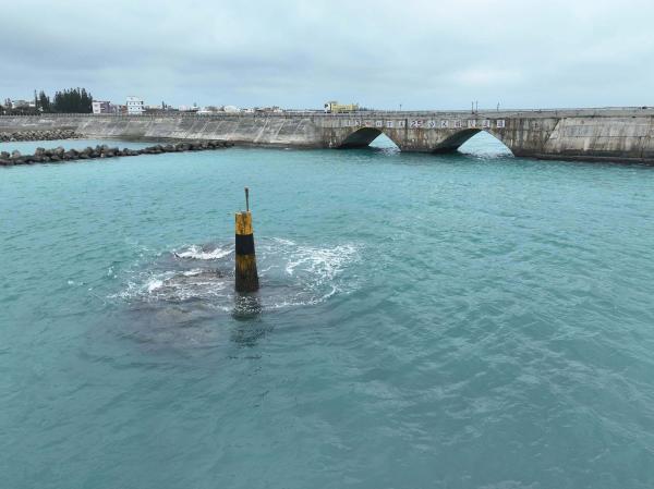 2025跨海大橋記錄