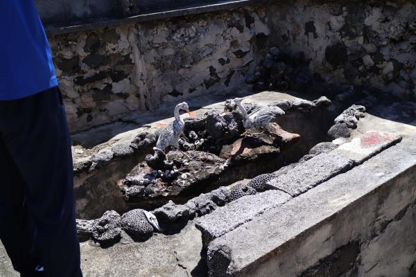 2025李安邦故居記錄