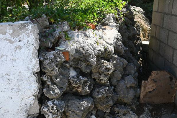 2025土地公聖誕千秋記錄