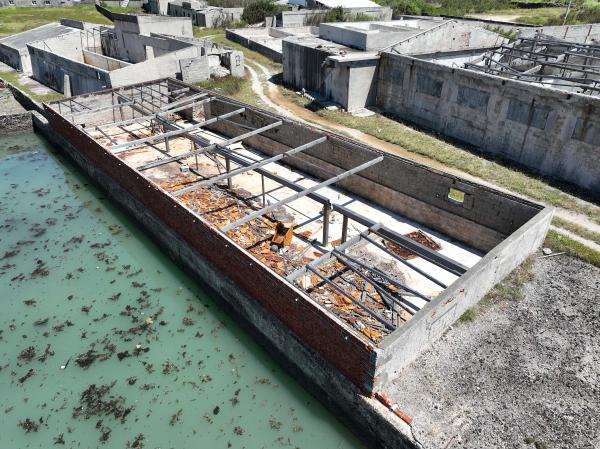 2025供您恩企業記錄