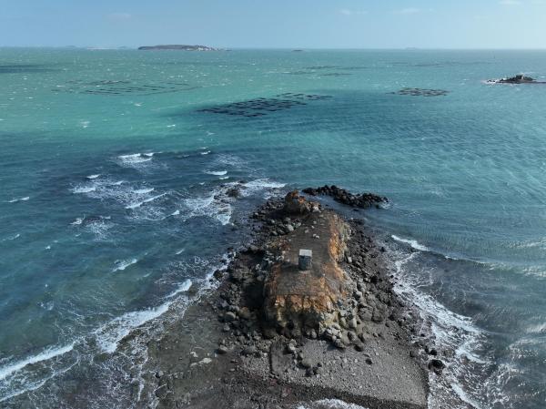 2025講美紫菜養殖記錄