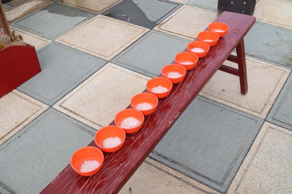 2025北極殿普渡記錄