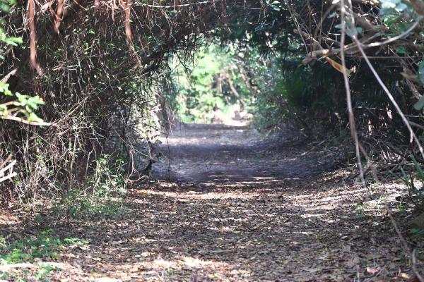 2025三等三角點記錄