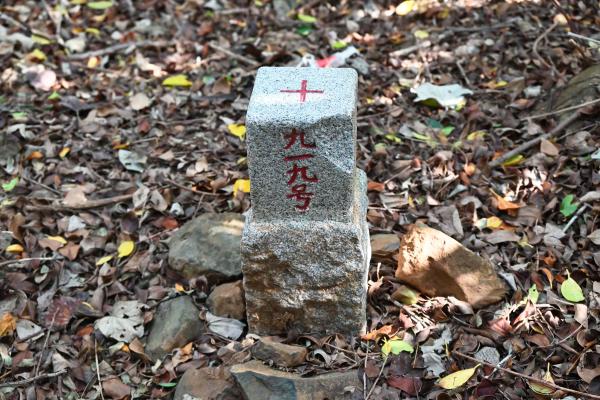 2025三等三角點記錄