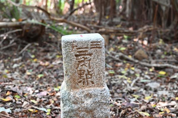 2025三等三角點記錄
