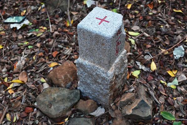 2025三等三角點記錄