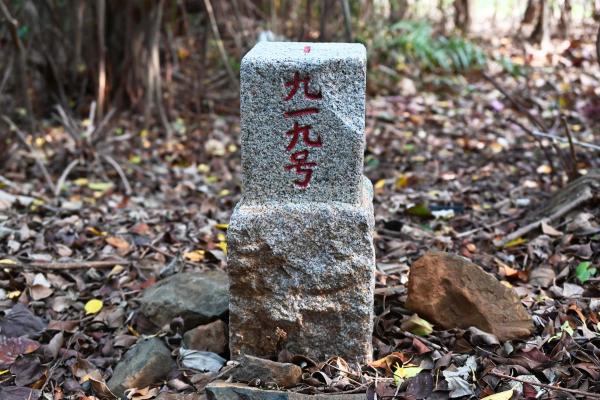 2025三等三角點記錄