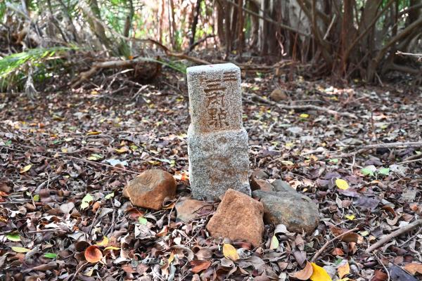 2025三等三角點記錄