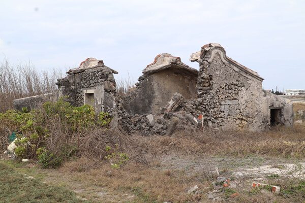 2026萬靈公廟記錄